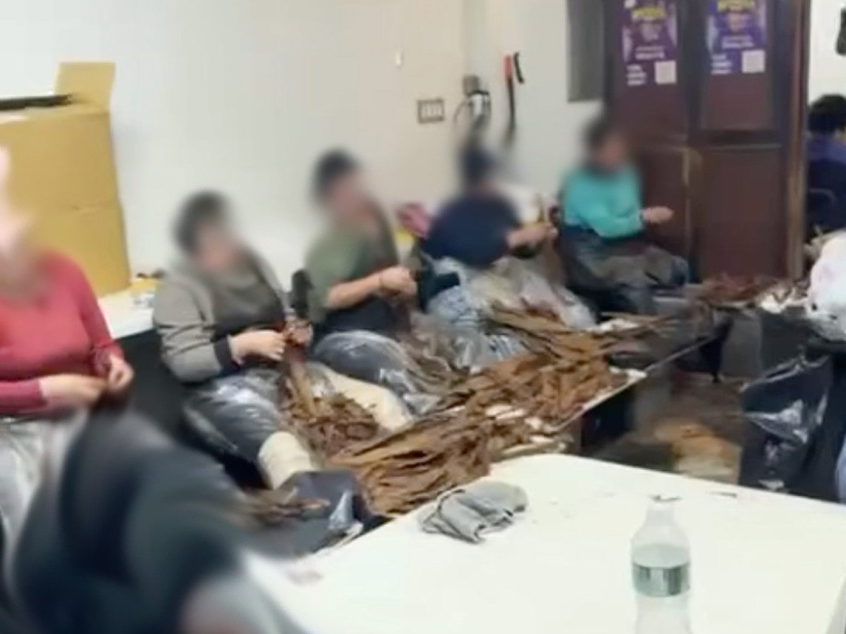 Impact: Sweatshop Exposed